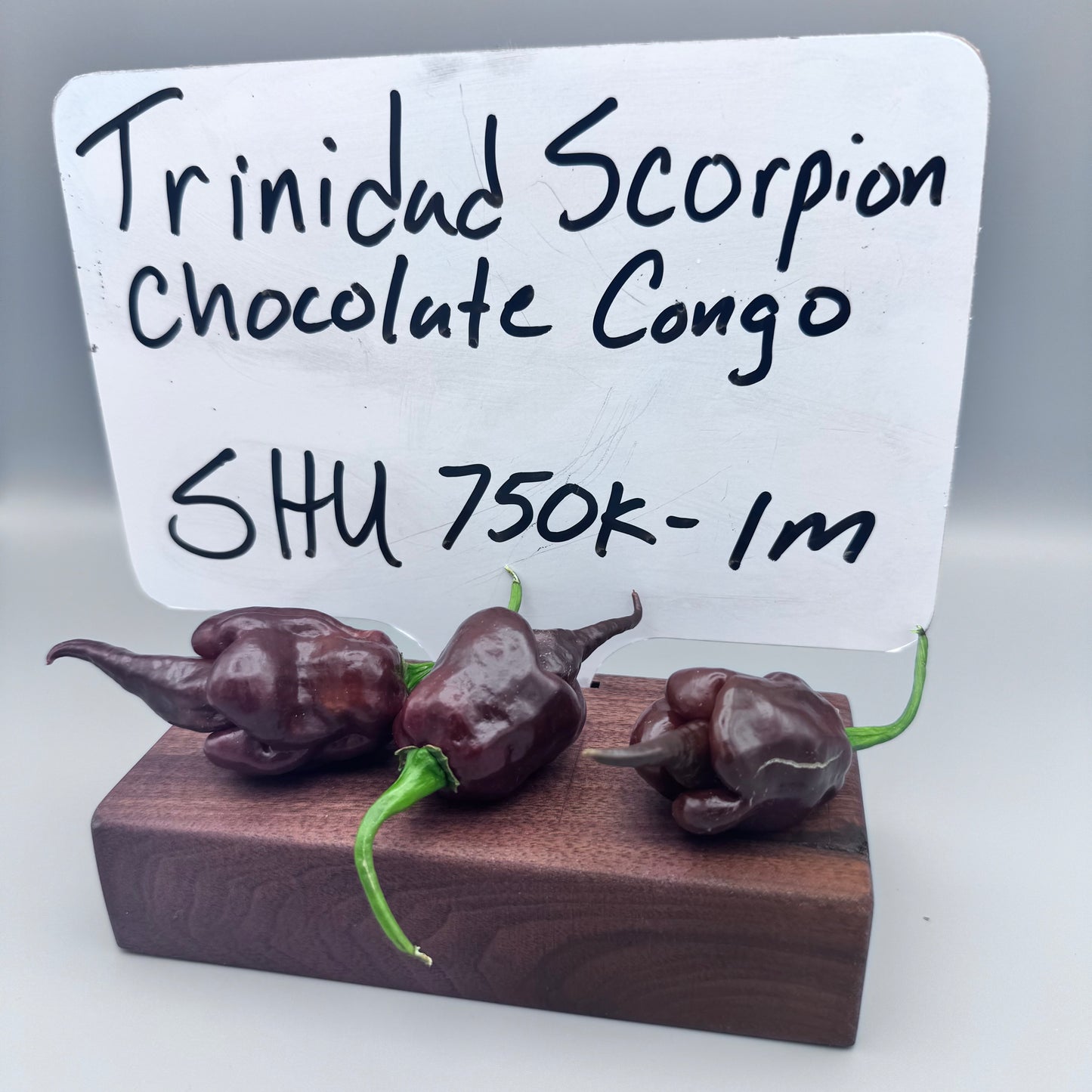 Trinidad Scorpion Chocolate Congo