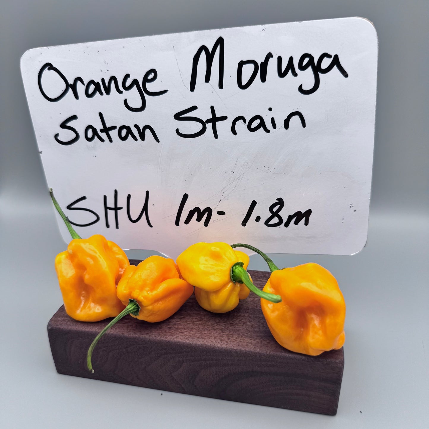 Orange Moruga Satan Strain