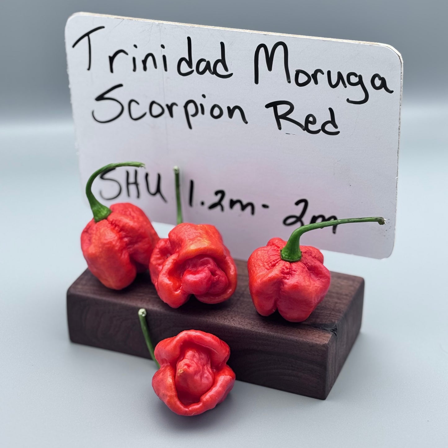 Trinidad Moruga Scorpion Red