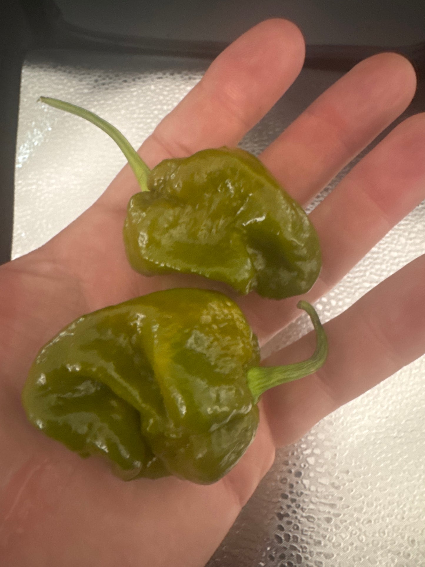 Scorpion Hulk