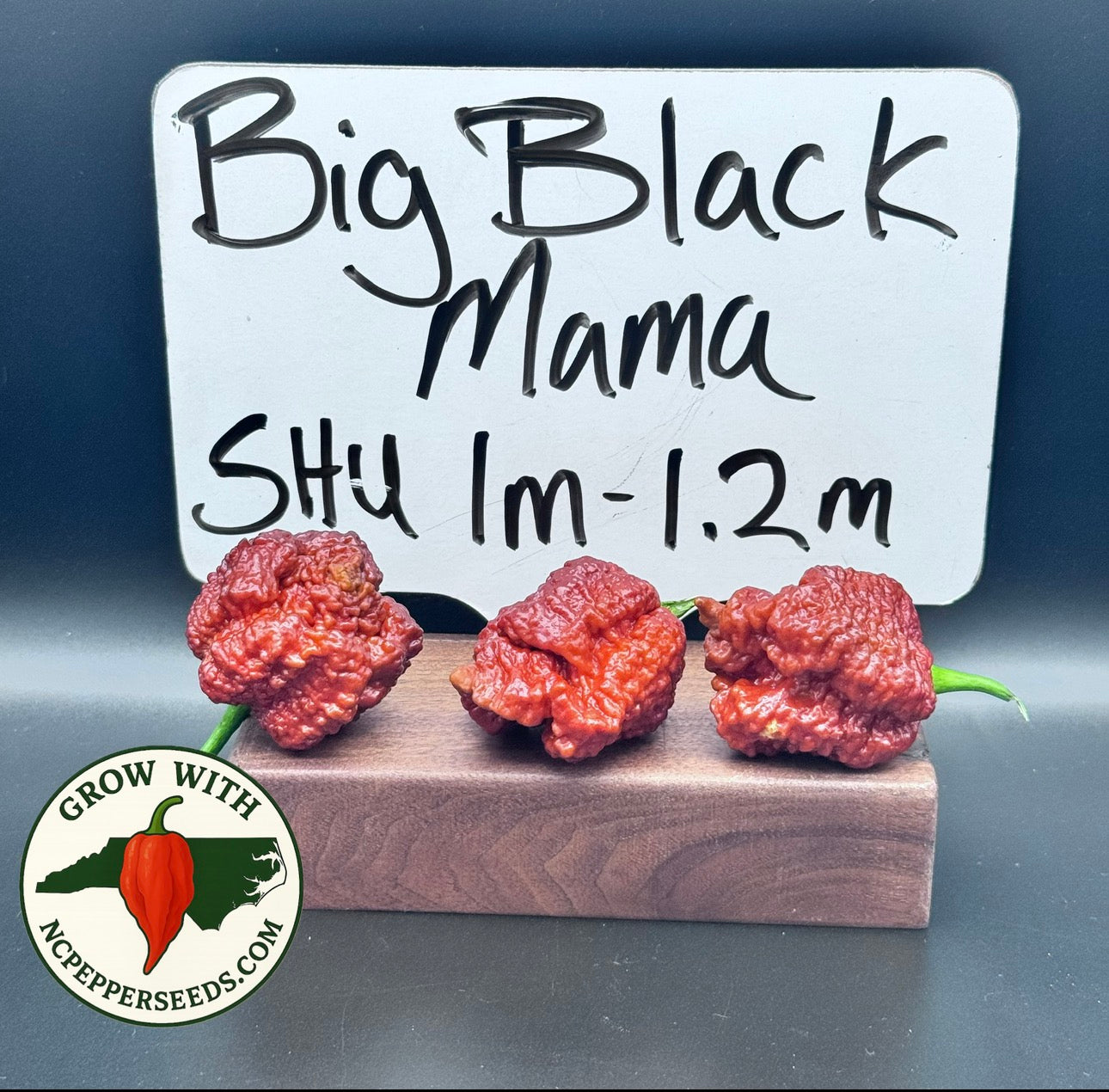 Big Black Mama
