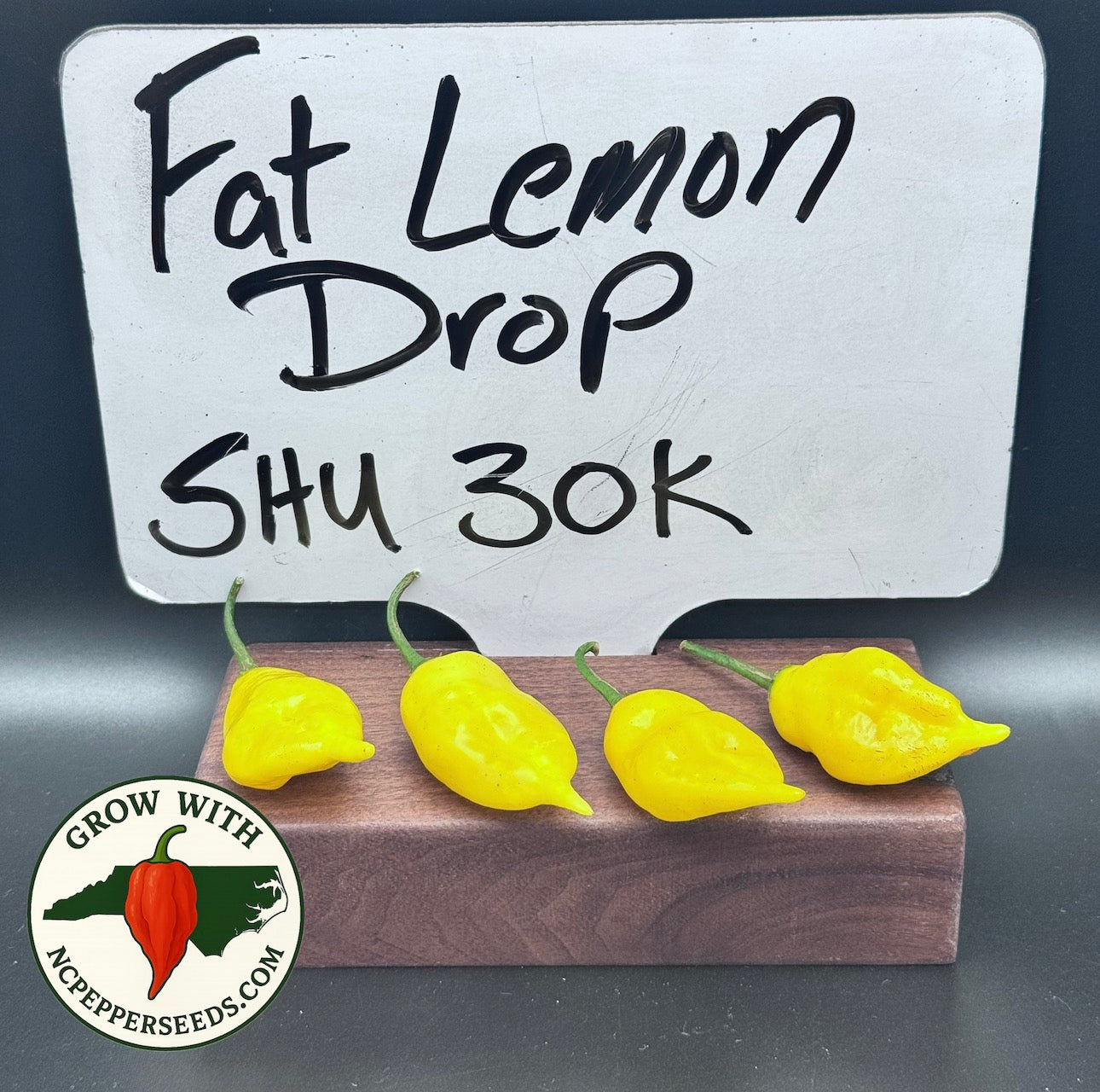 Fat Lemon Drop