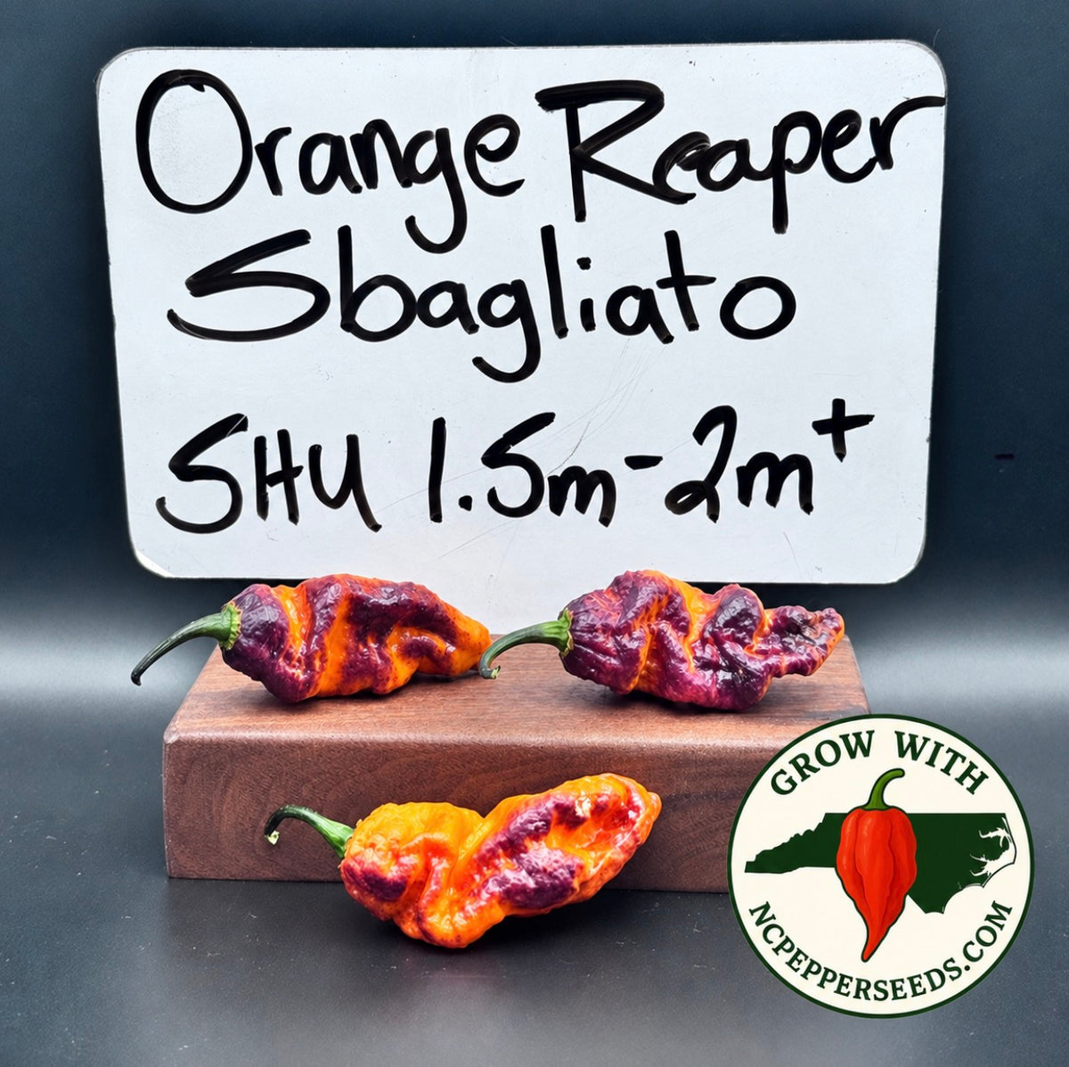 Orange Reaper Sbagliato
#136