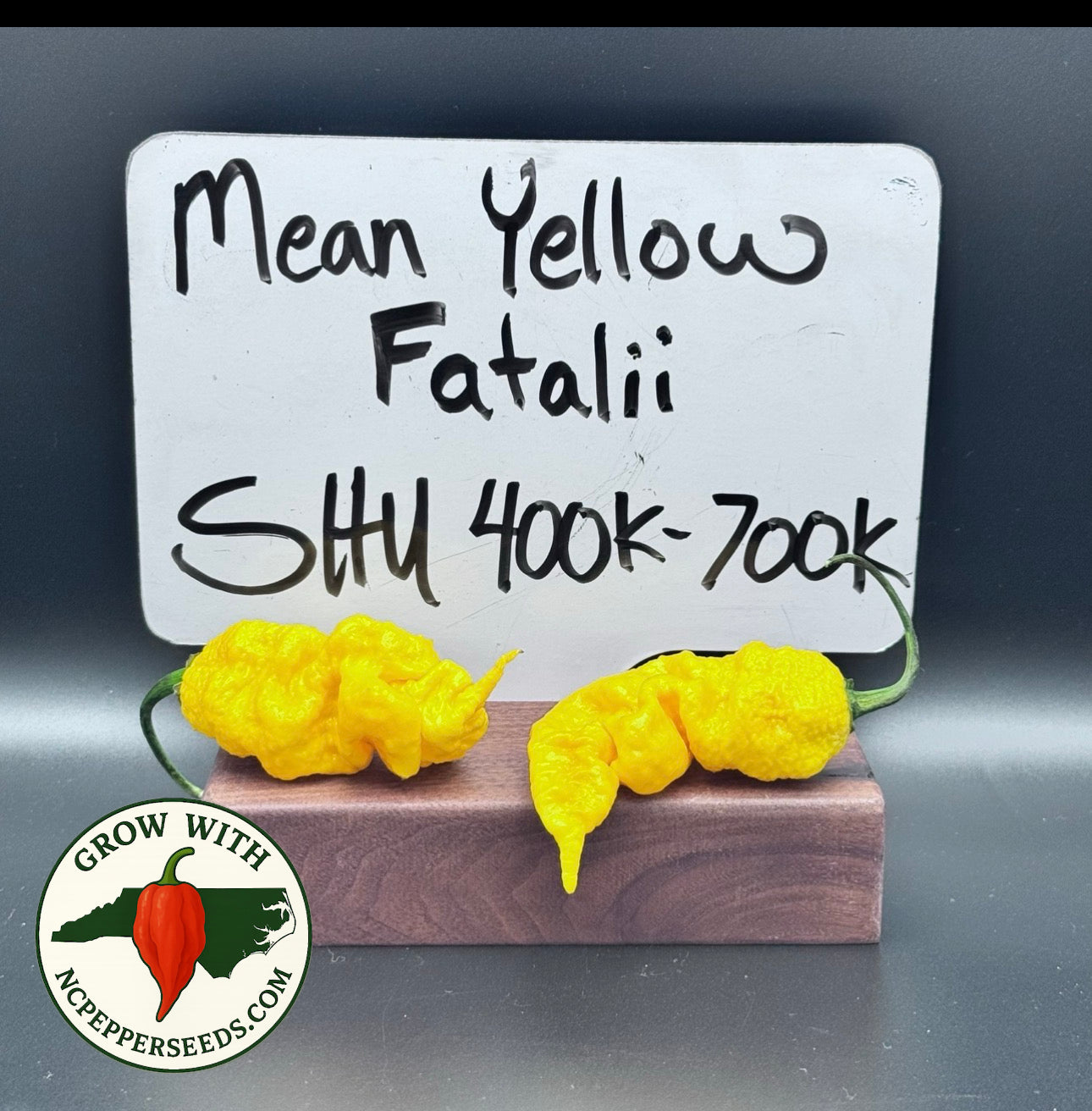 Mean Yellow Fatalii