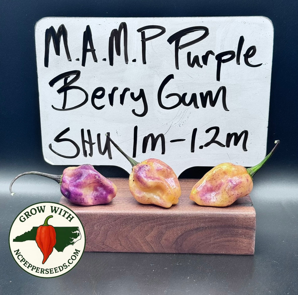 MHMP Purple Berrygum