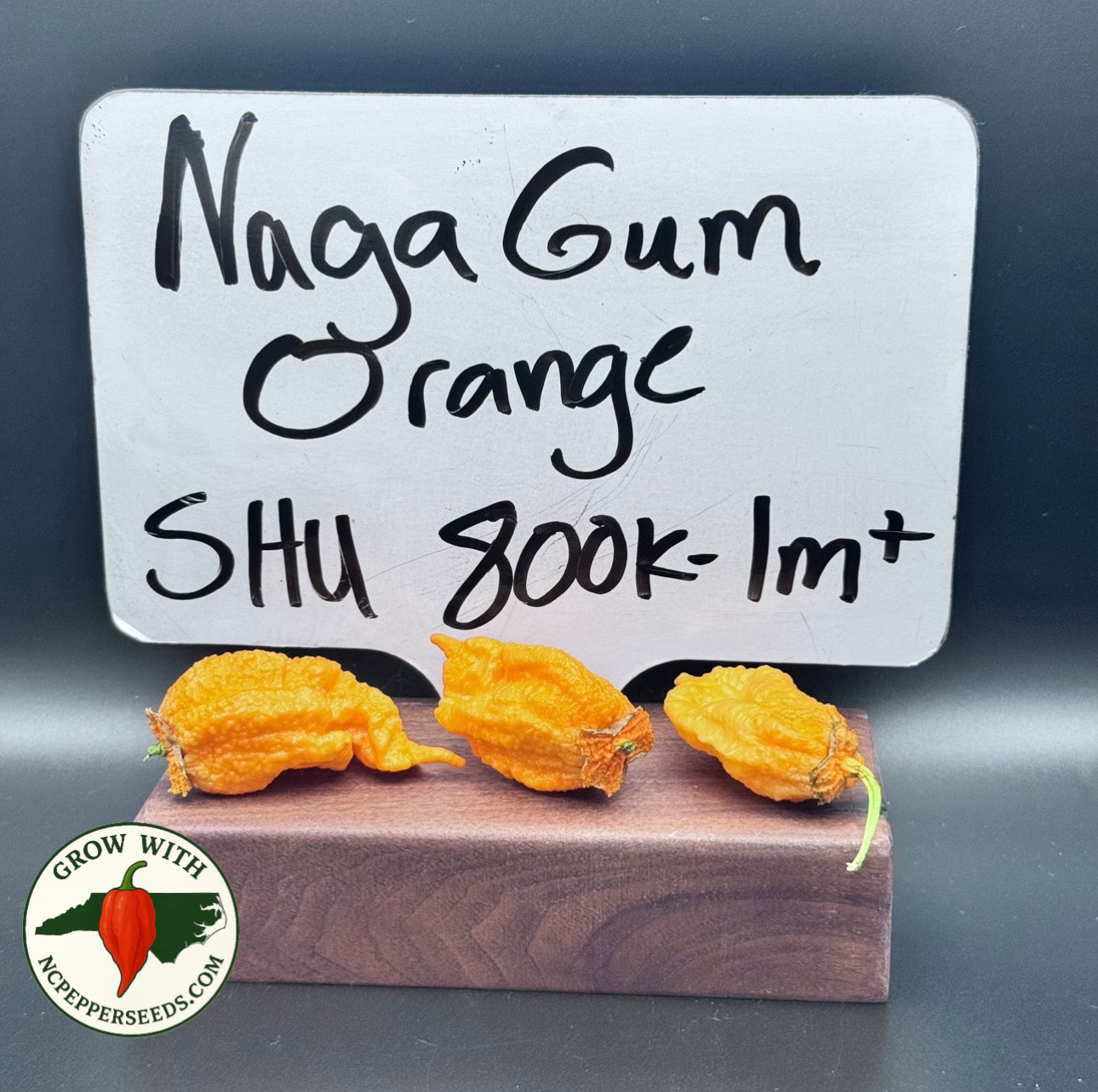 Naga Gum Orange