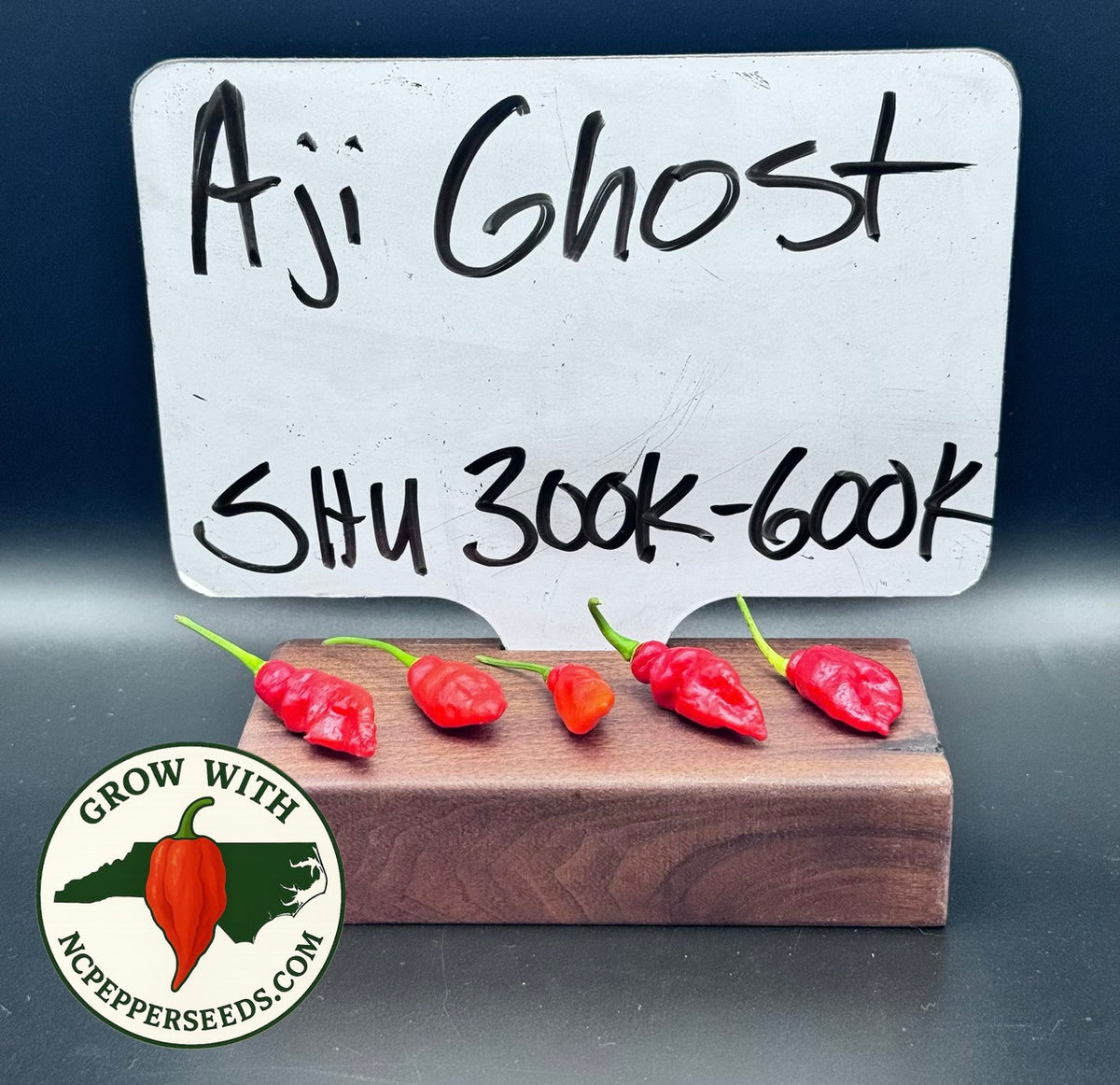 Aji Ghost #8
