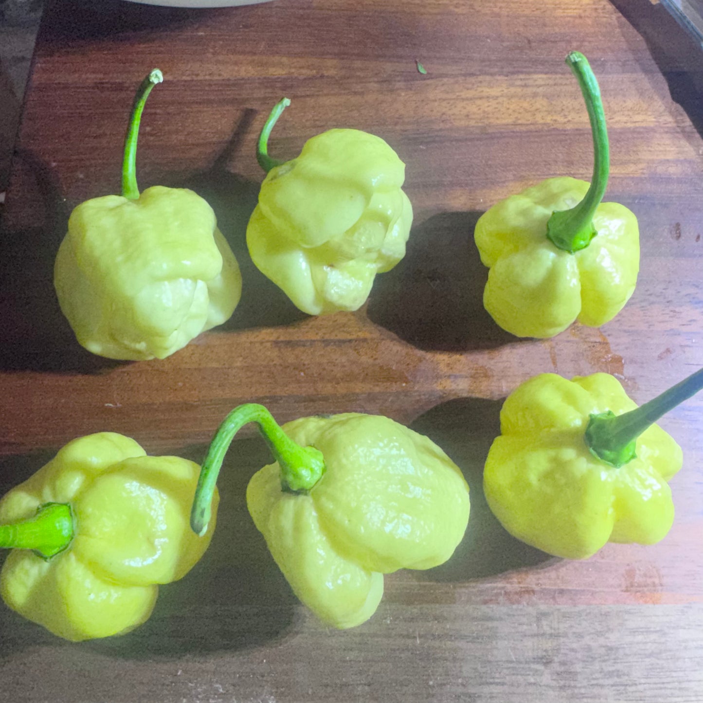 White Moruga Scorpion