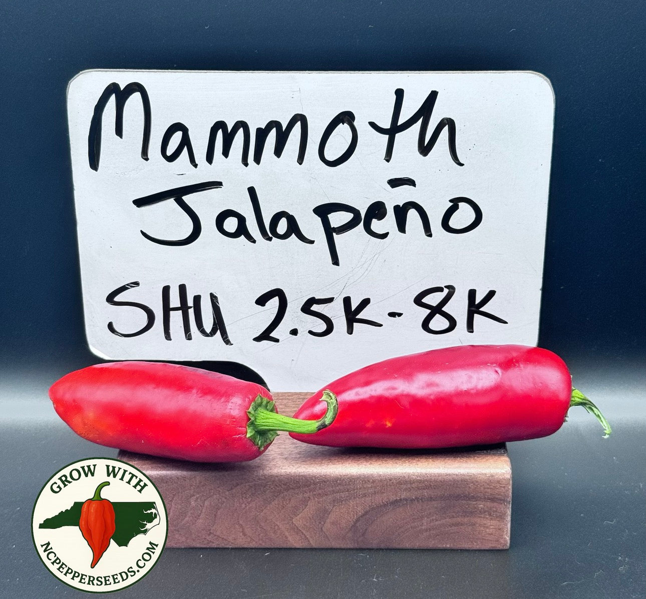 Mammoth jalapeño