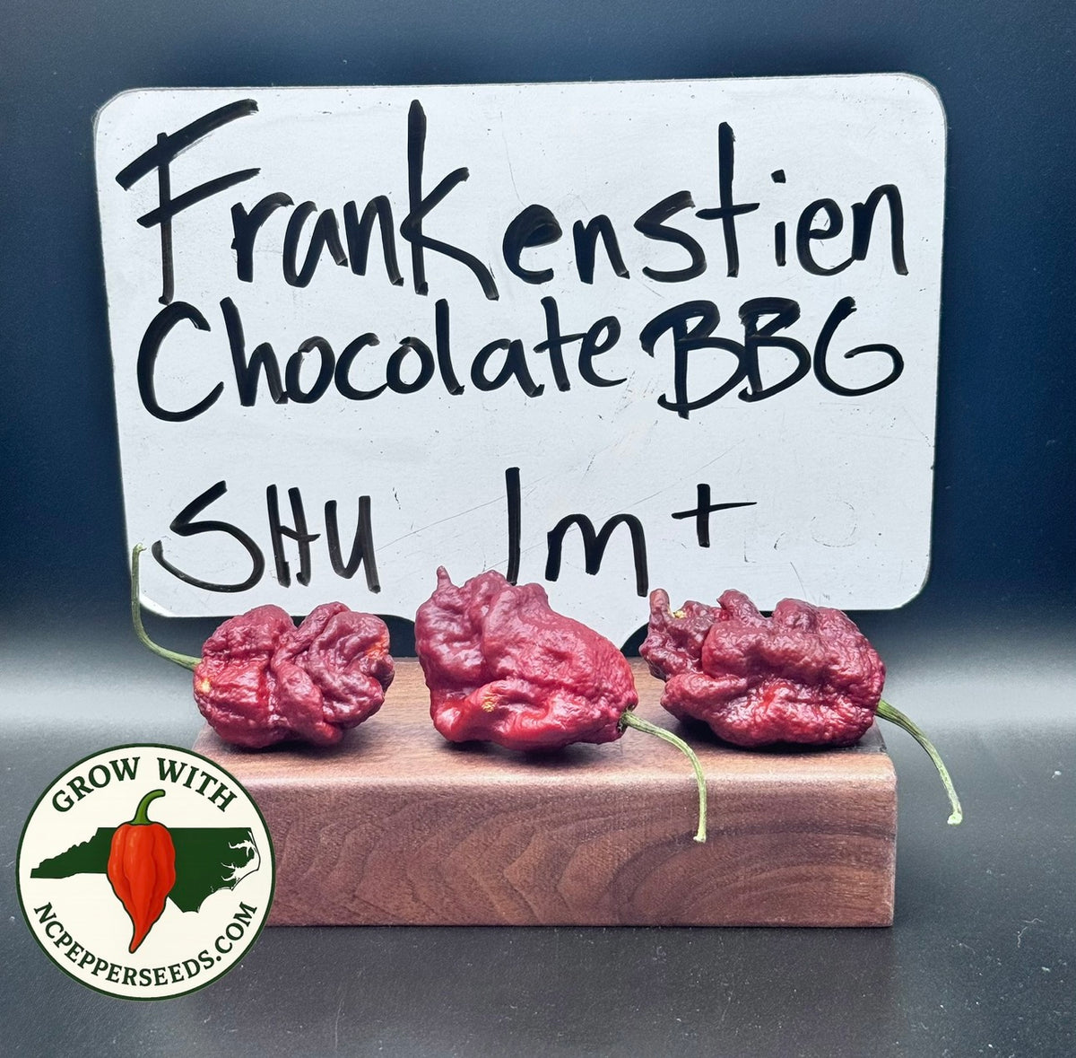 Frankenstein Chocolate BBG #00