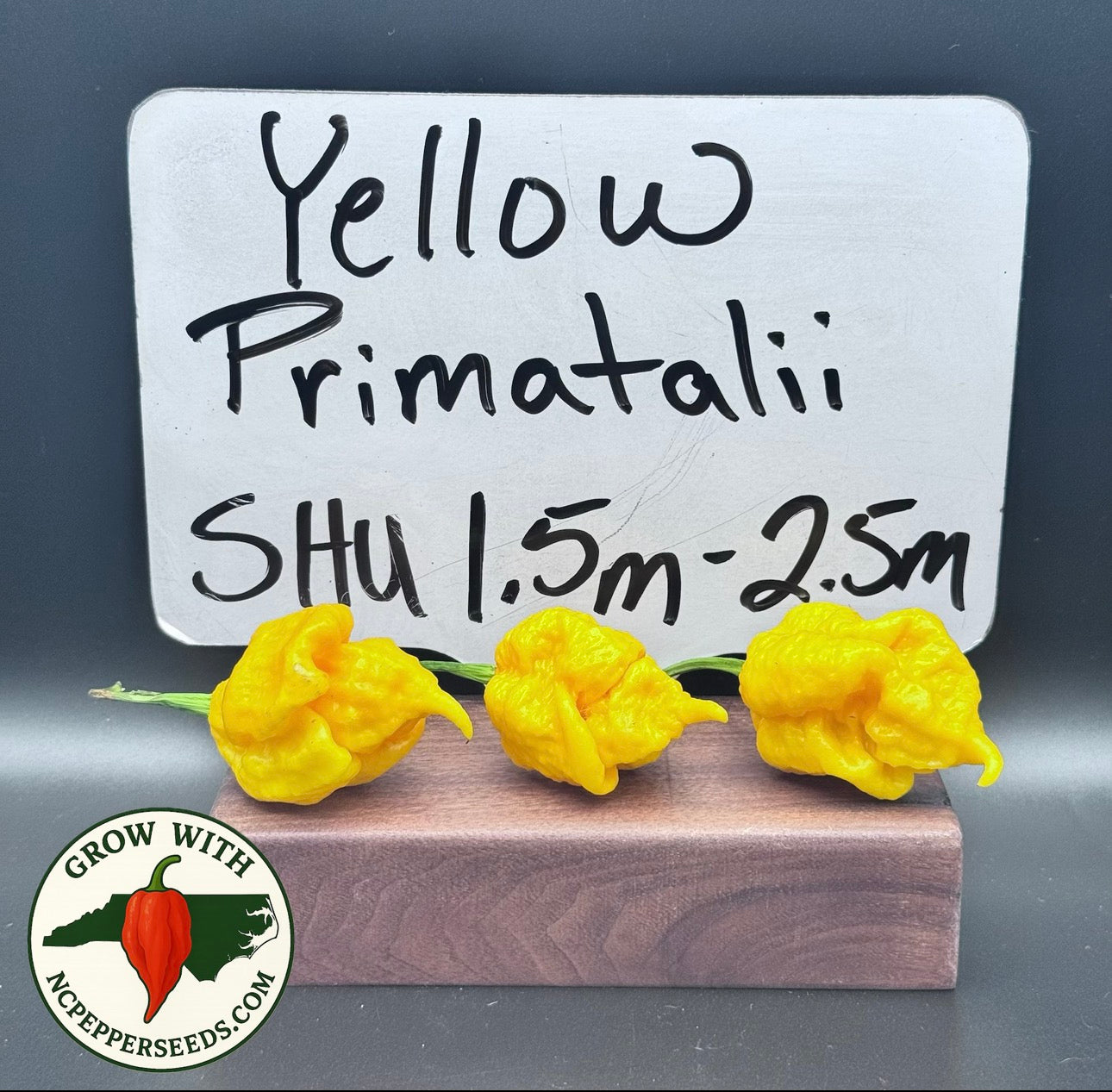 Yellow Primatalii