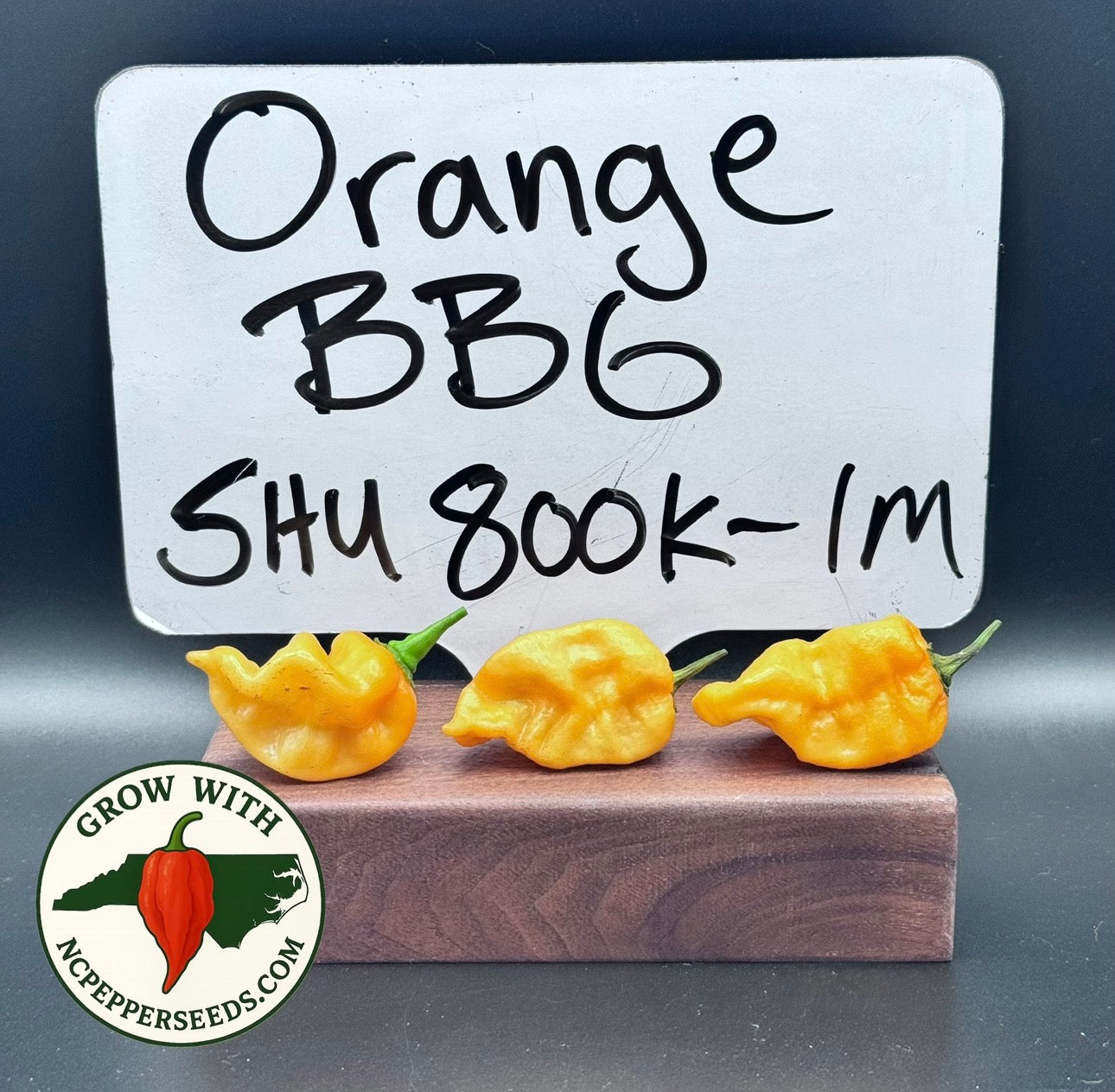 Orange BBG