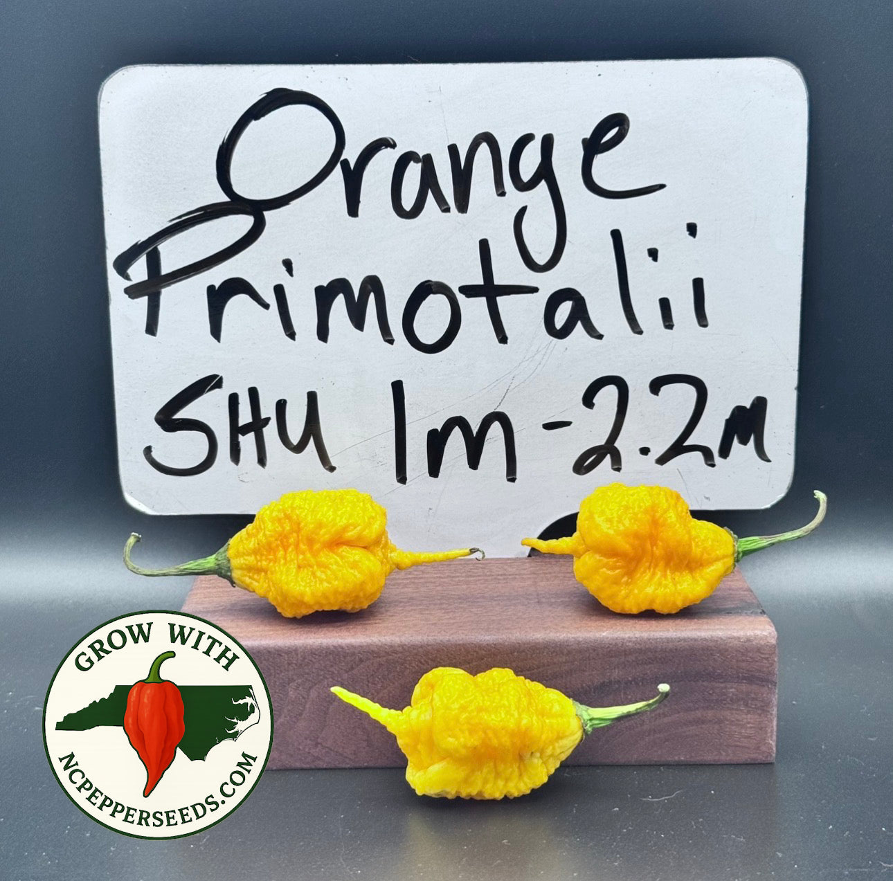 Orange Primotalii