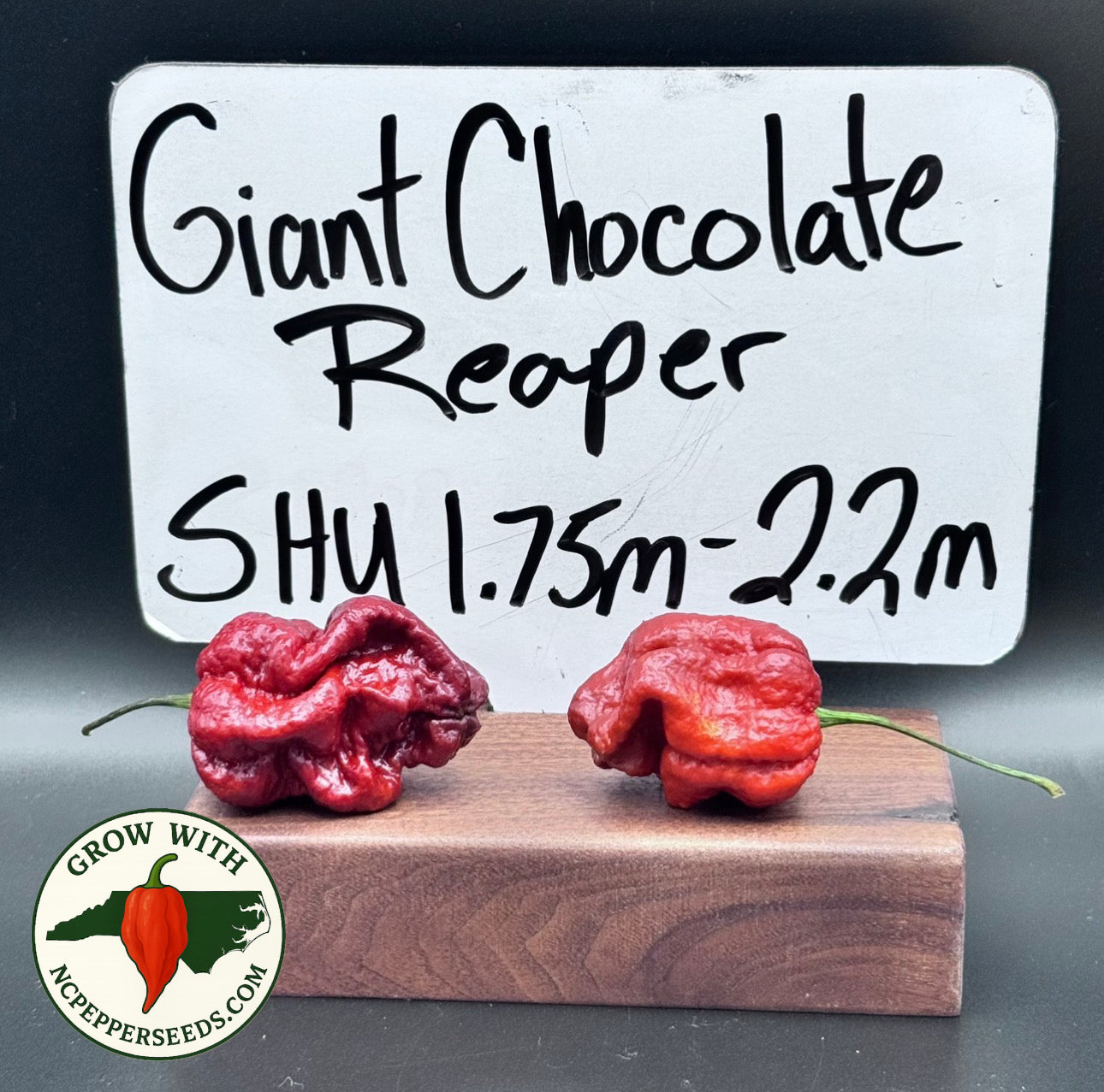 Giant Chocolate Reaper