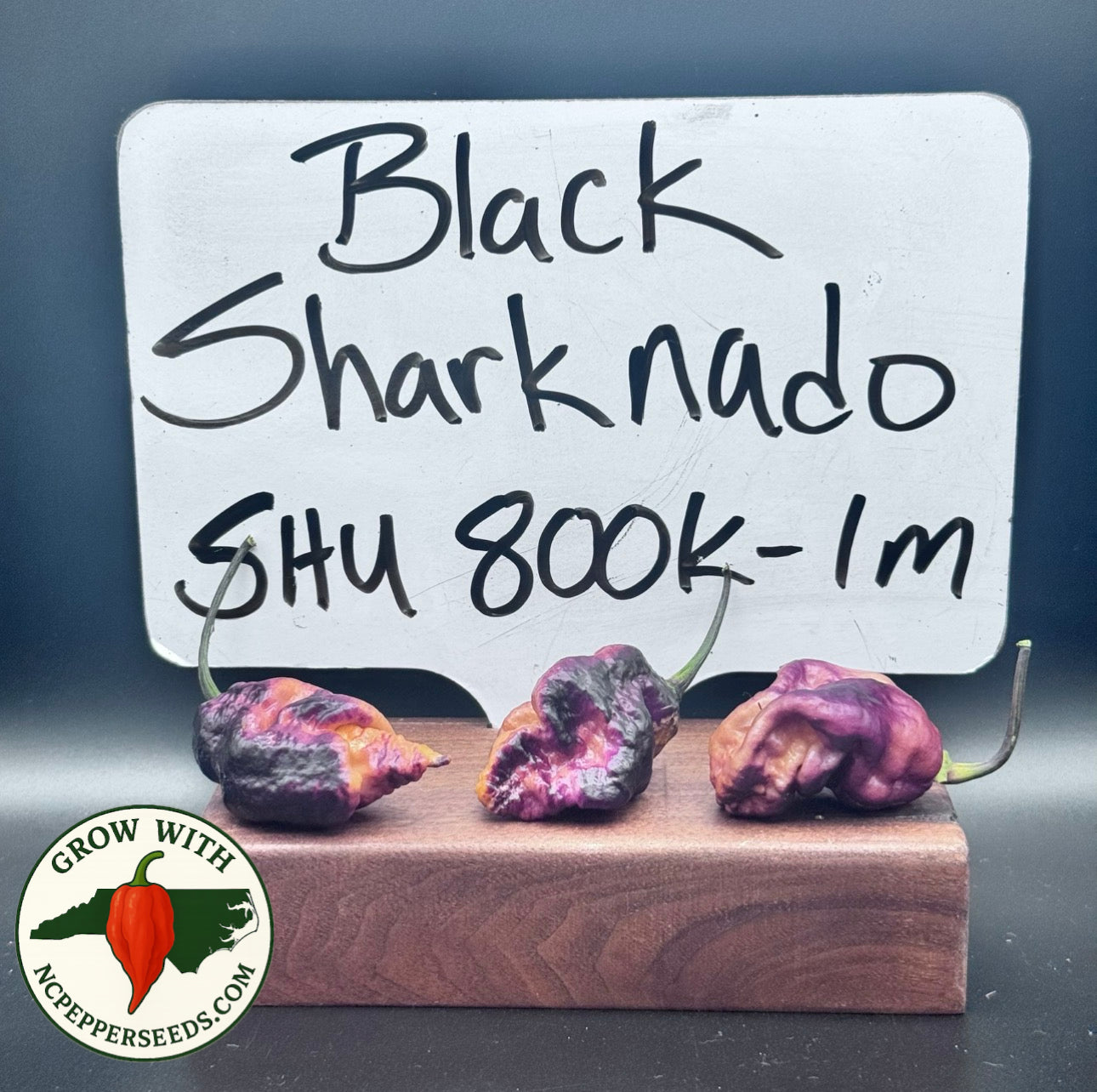 Black Sharknado