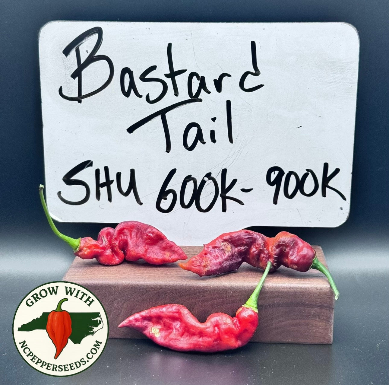 Bastard Tail