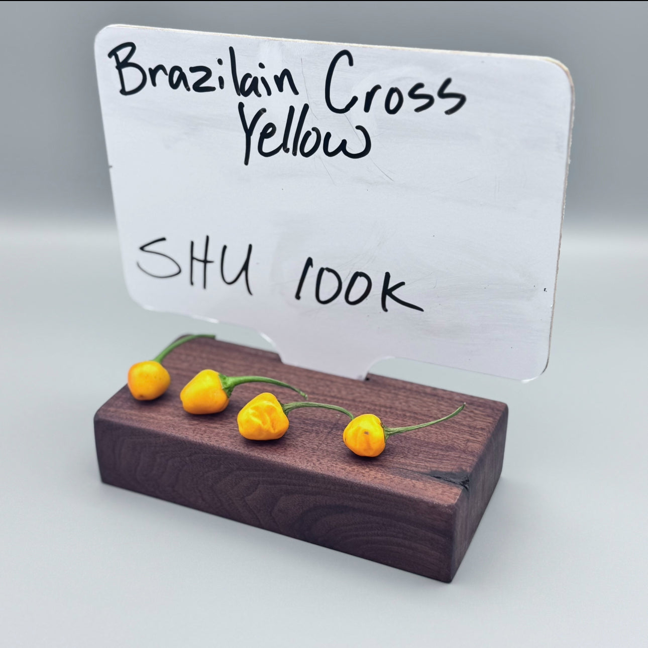Yellow Brazilian cross