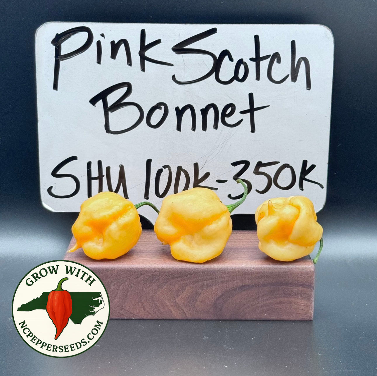 Pink Scotch Bonnet