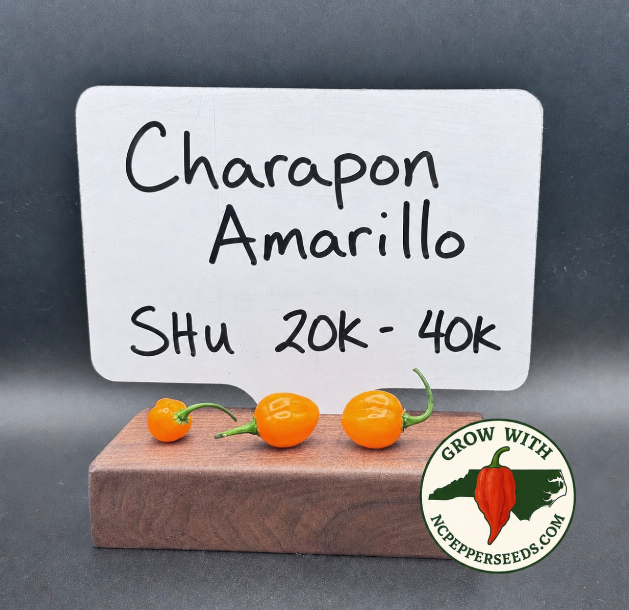 Charapon Amarillo