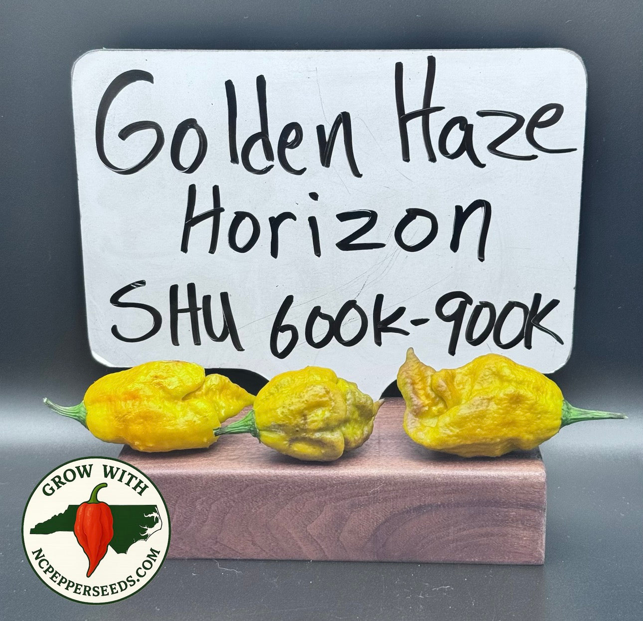 Golden Haze Horizon