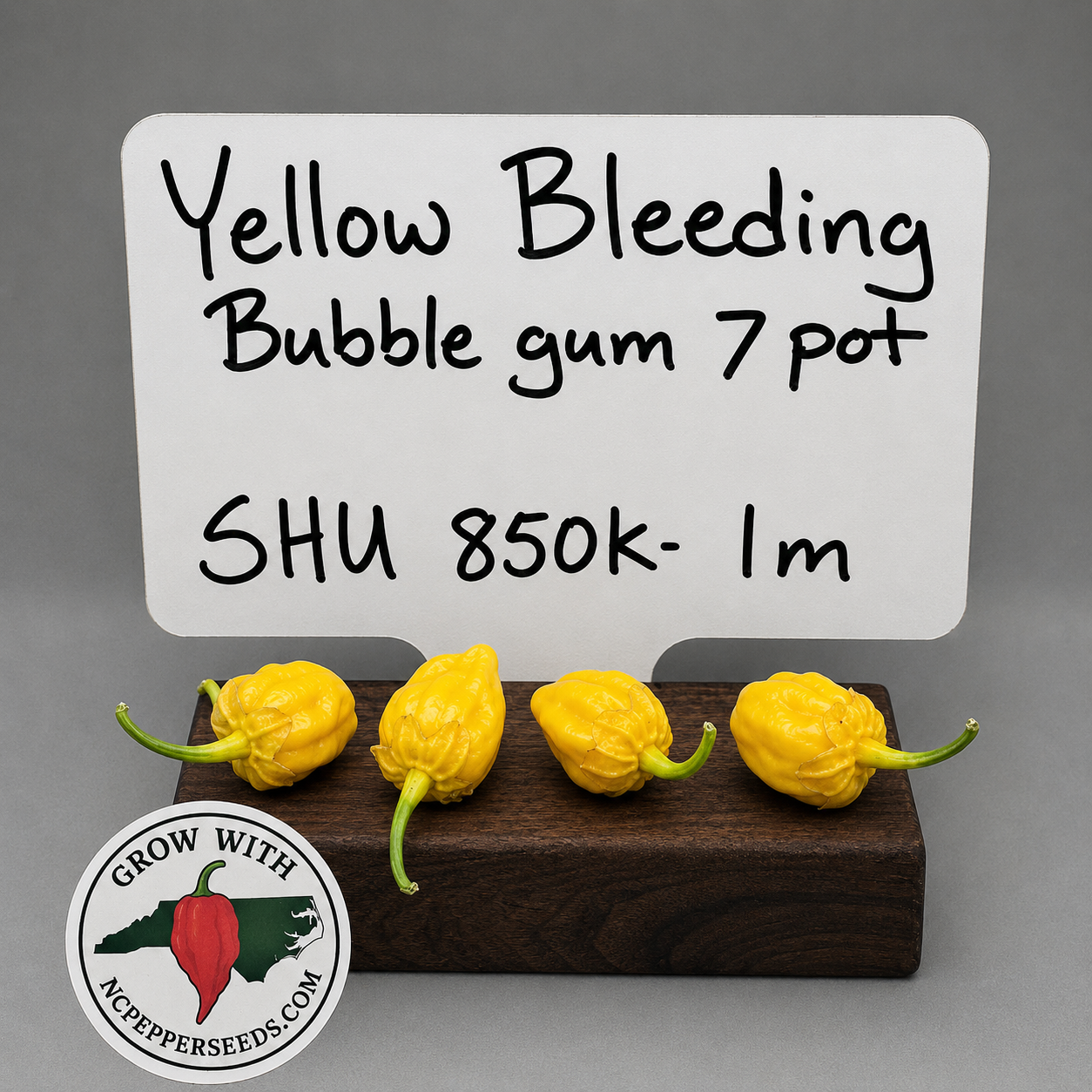 Yellow Bleeding Bubblegum 7 pot