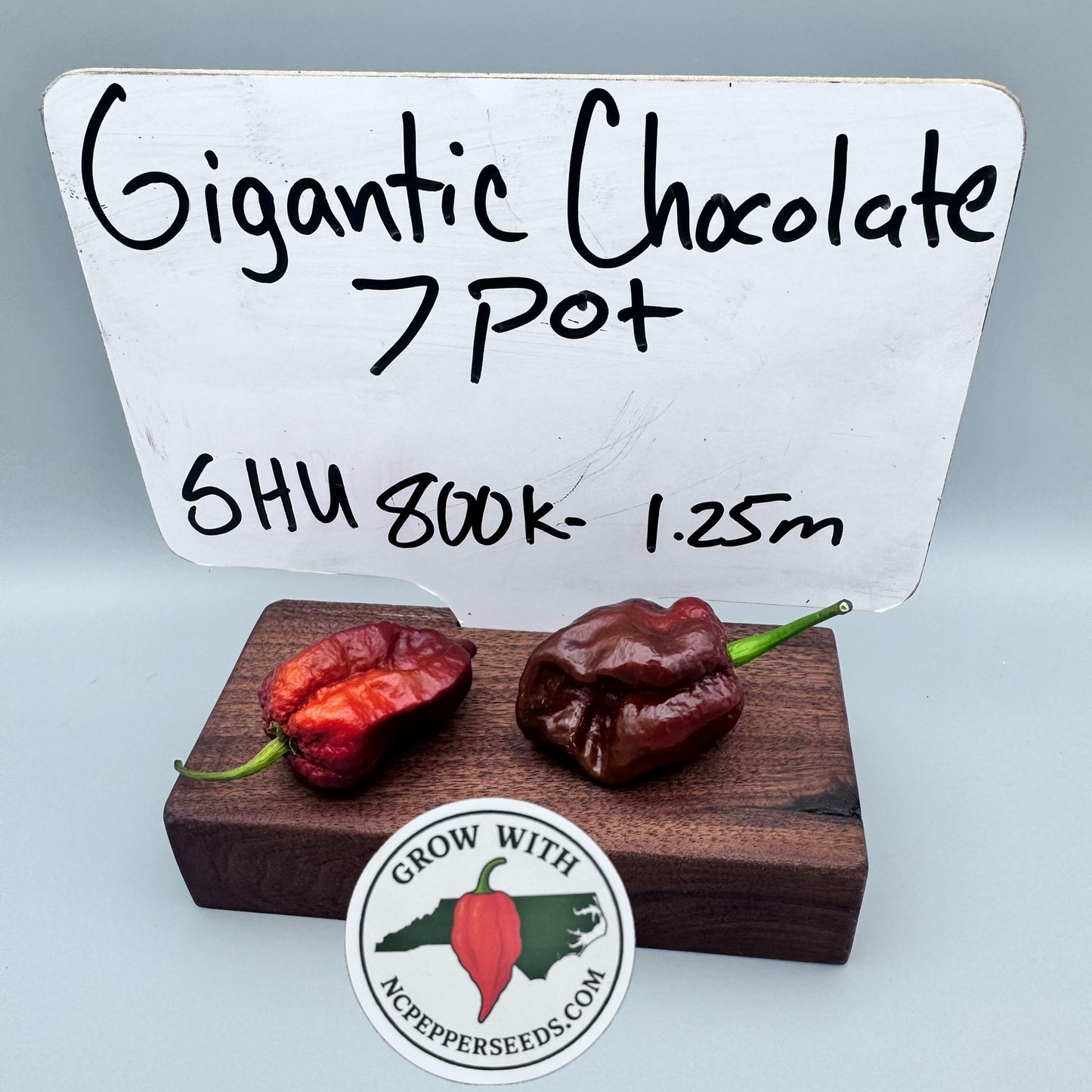Gigantic Chocolate 7 pot