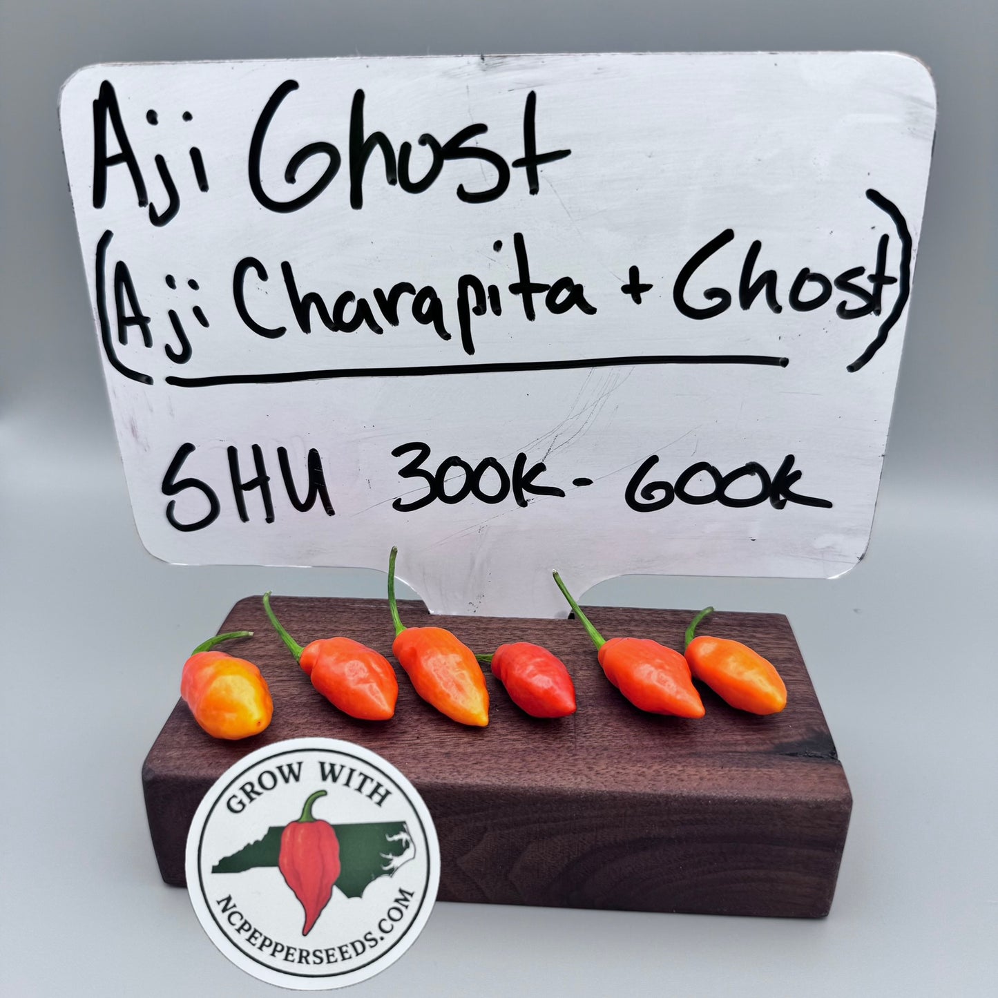 Aji Ghost