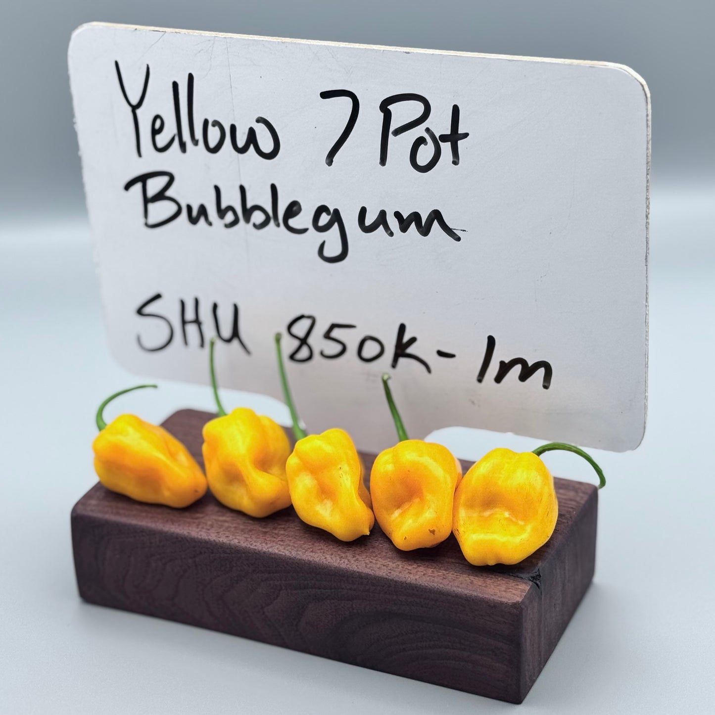 Yellow 7 pot Bubblegum