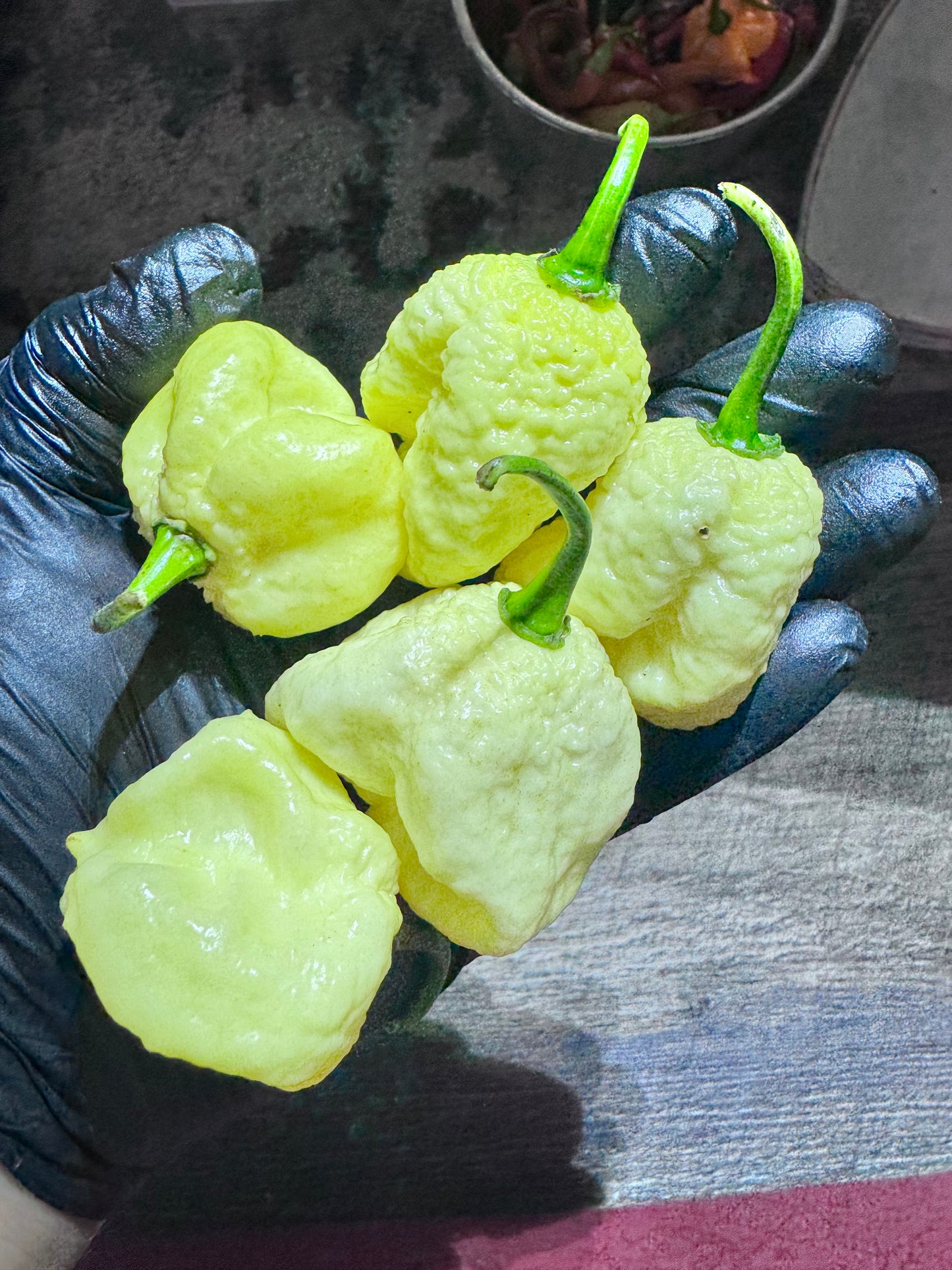 Giant White Moruga Scorpion