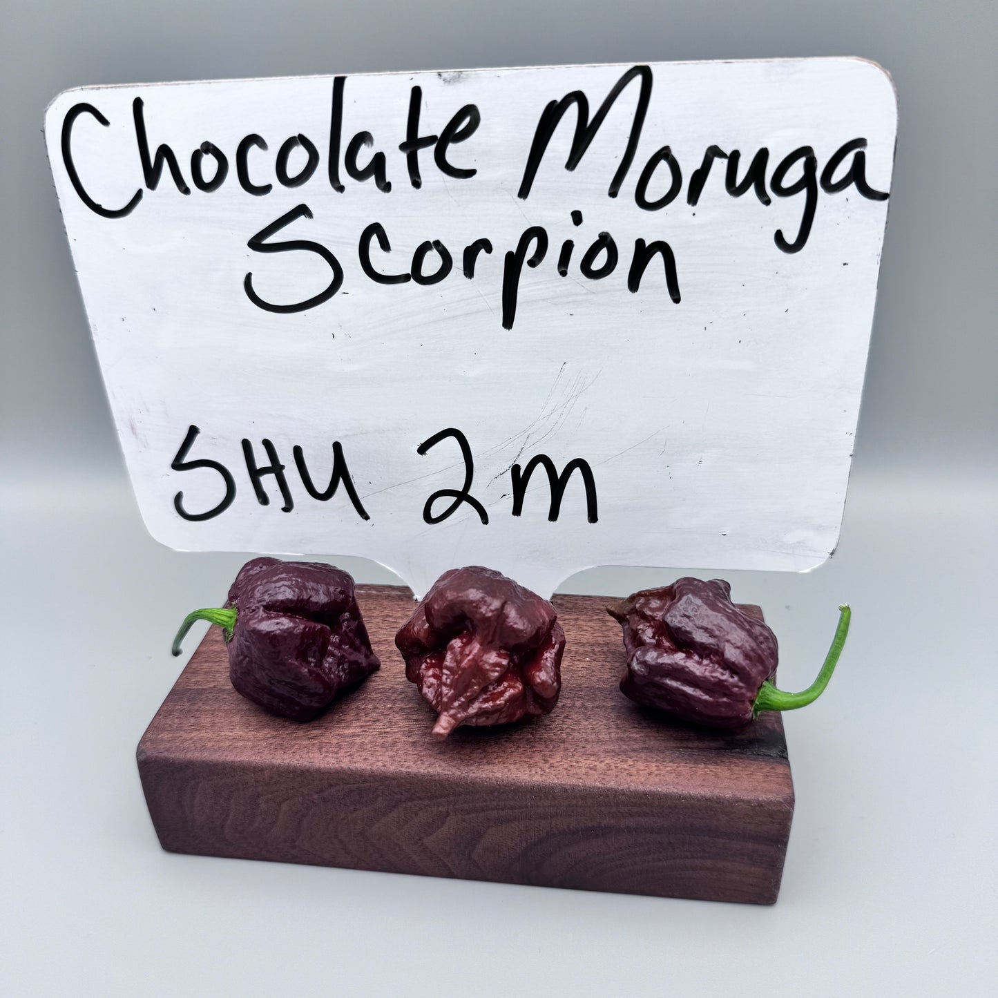 Chocolate Moruga Scorpion