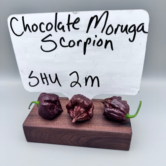 Chocolate Moruga Scorpion