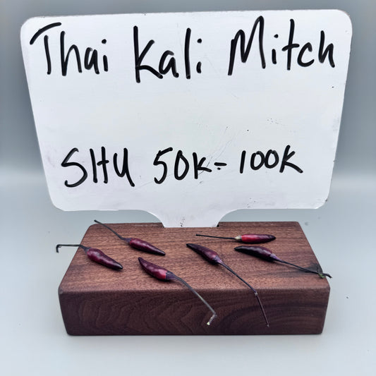 Thai Kali Mitch