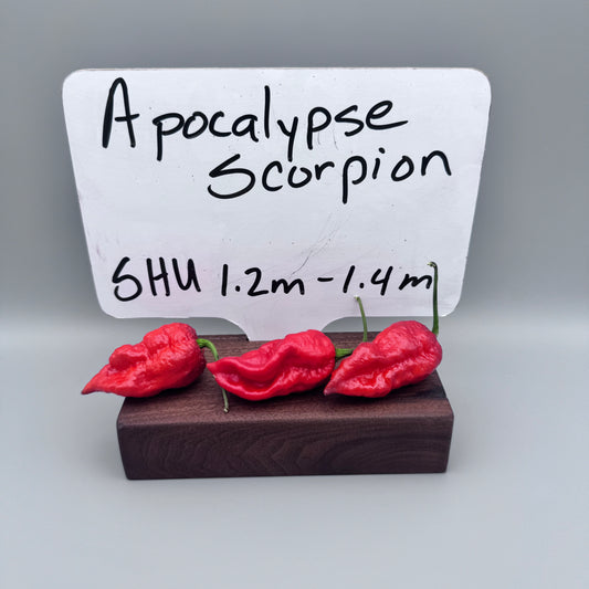 Apocalypse scorpion