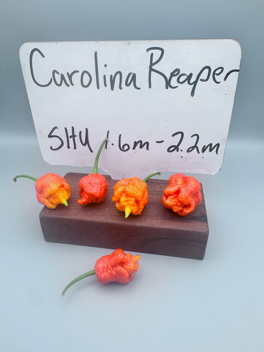 Carolina Reaper