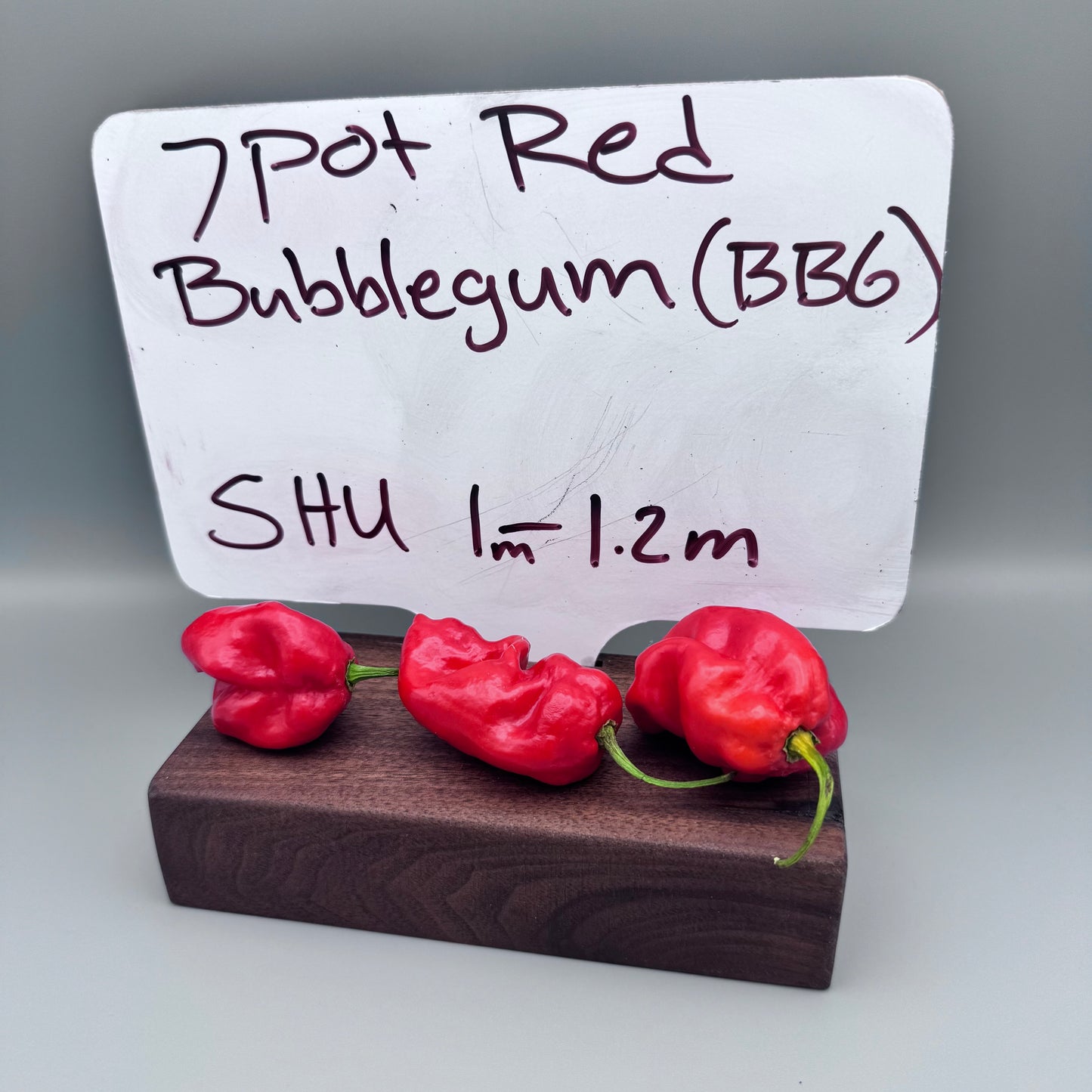 7 Pot Bubblegum (BBG7)