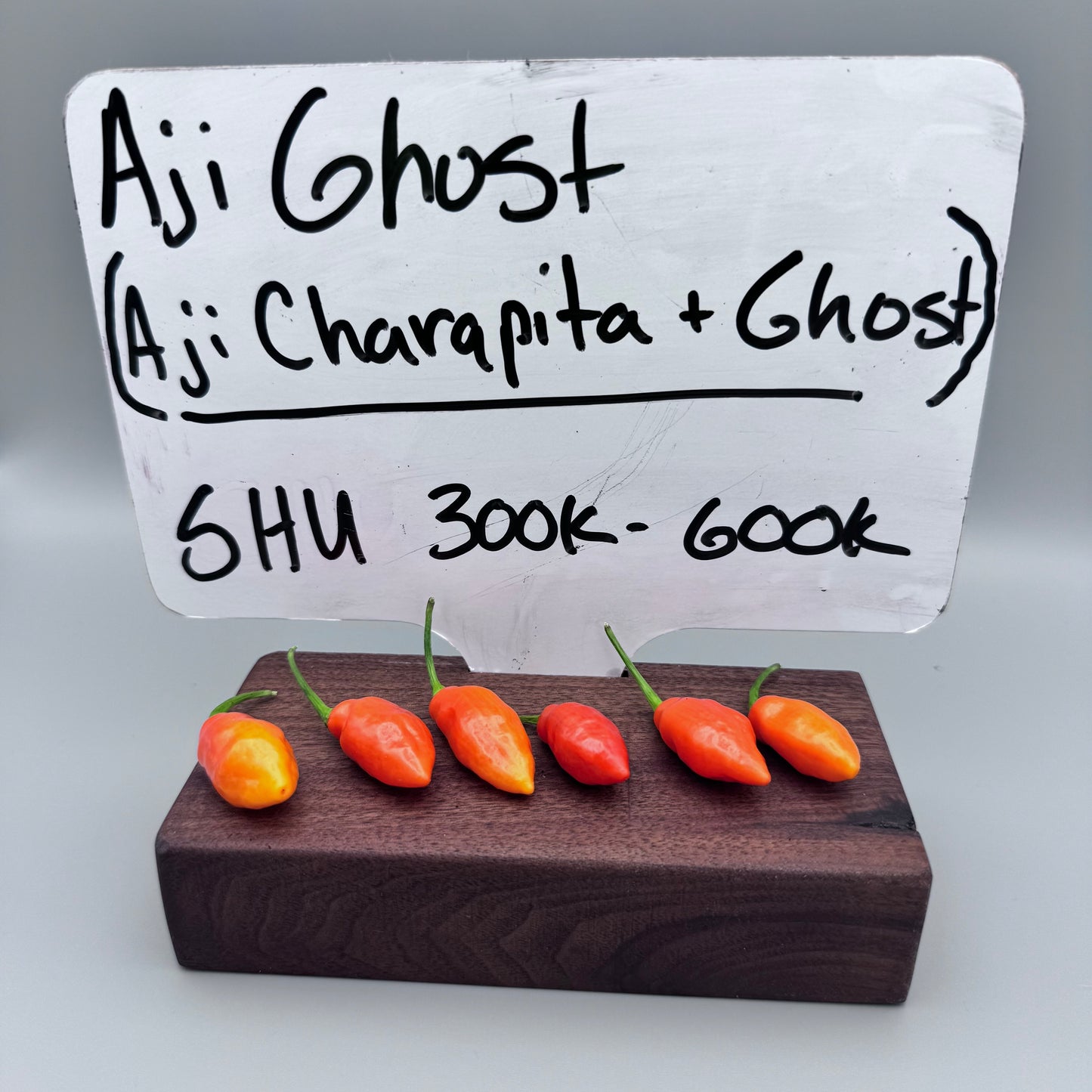 Aji Ghost