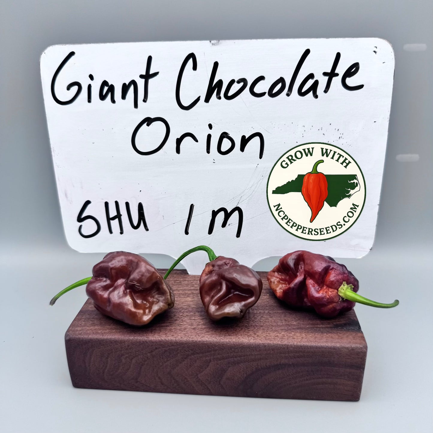Giant Chocolate Orion F2