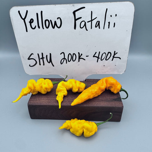 Yellow Fatalii