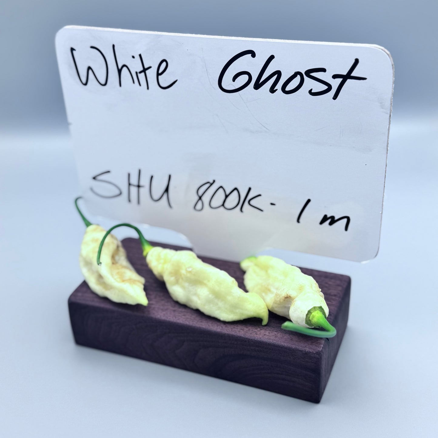 White Ghost