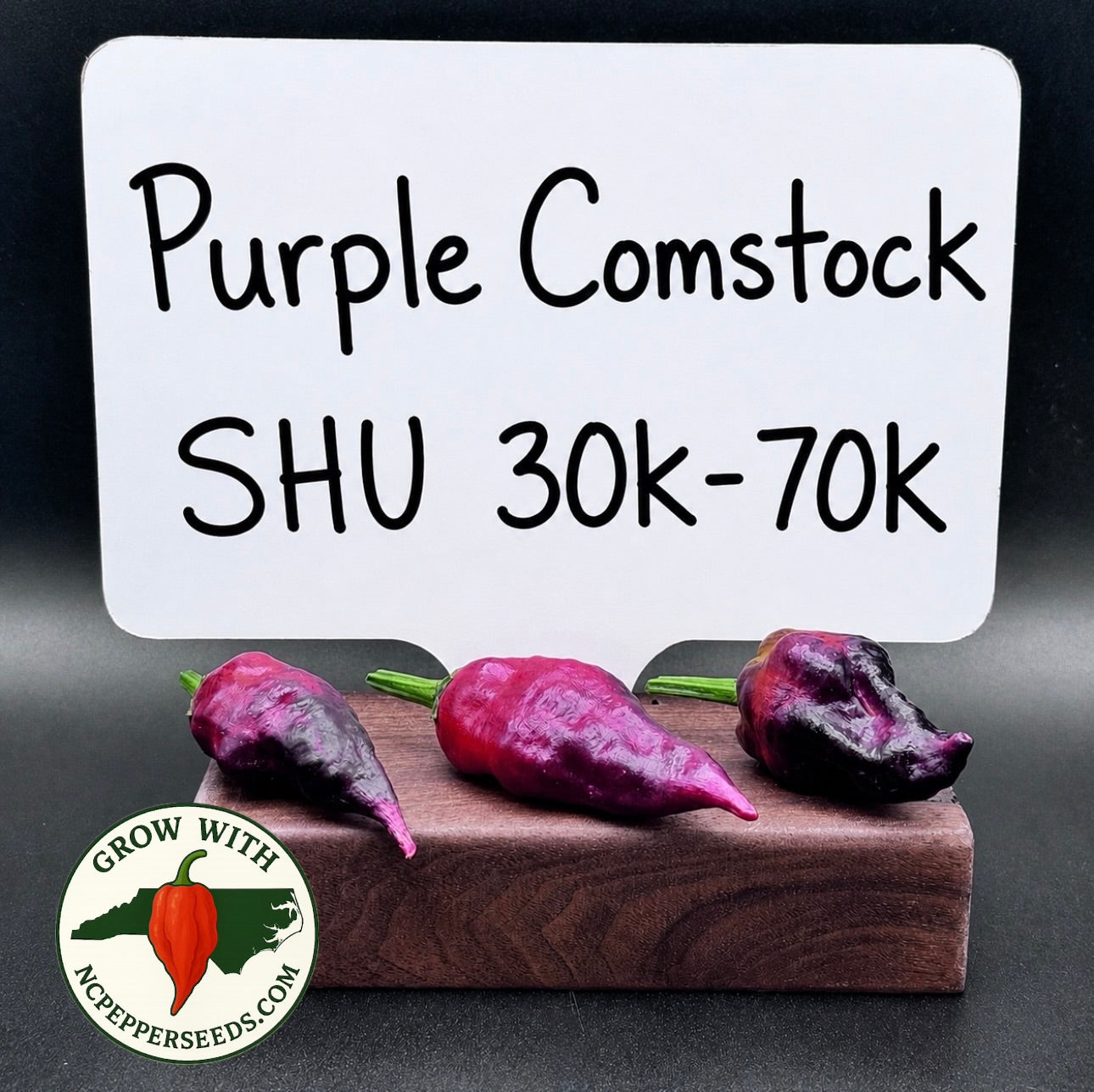 Comstock Purple