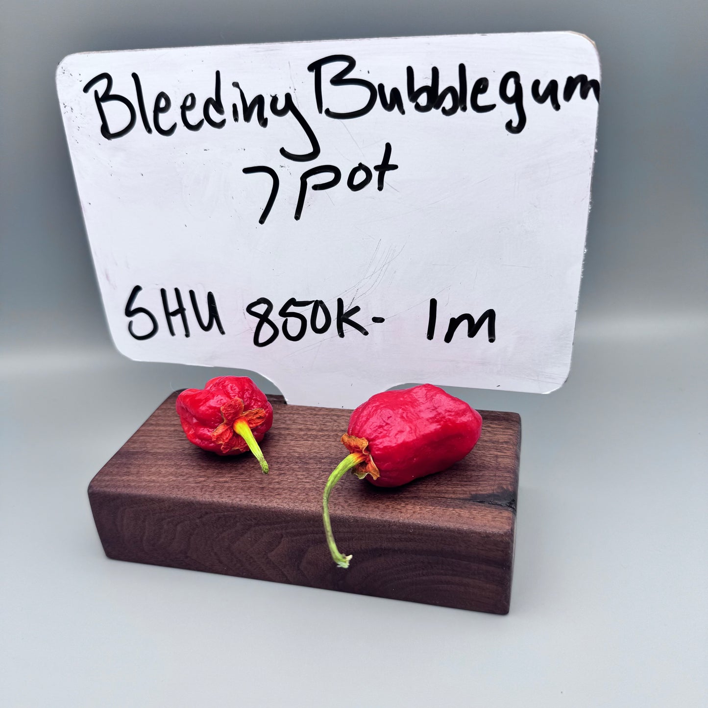 Bleeding Bubblegum 7 pot