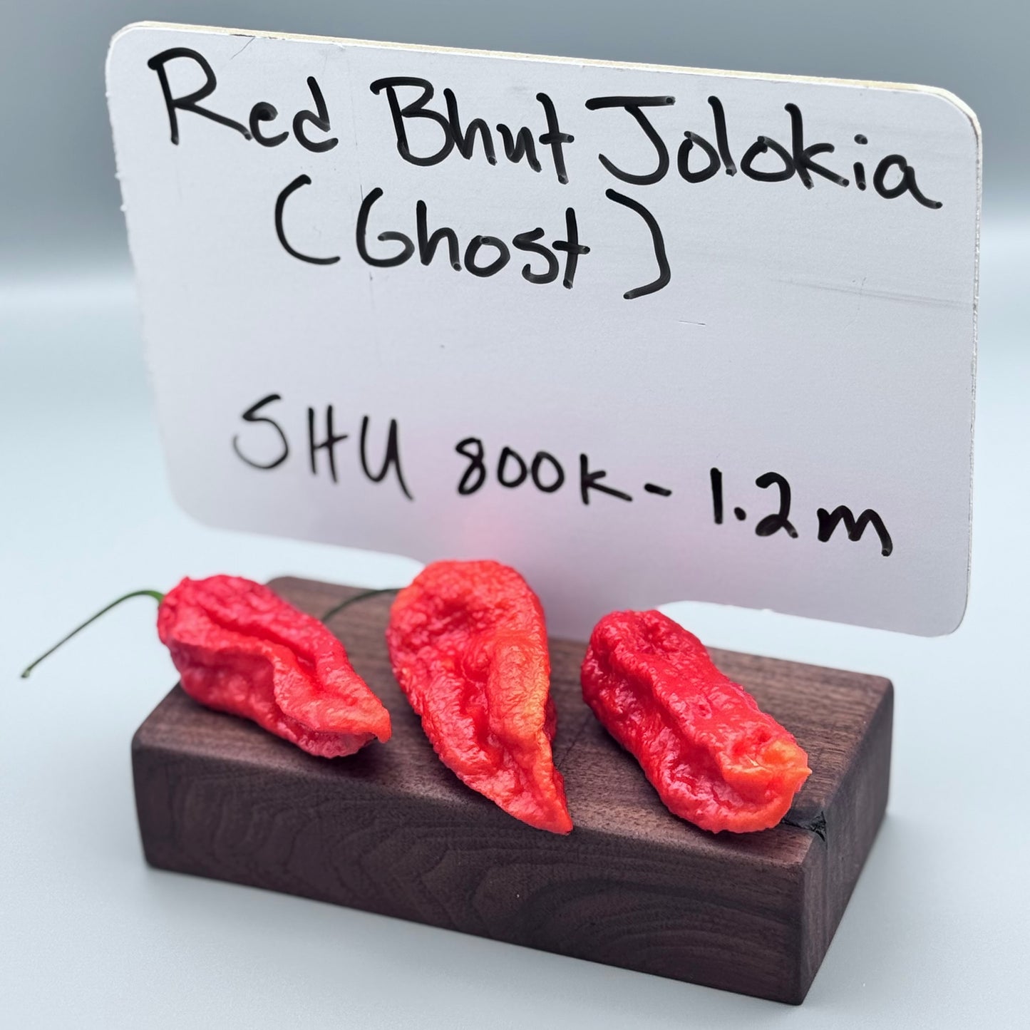 Red Ghost (Bhut Jolokia)