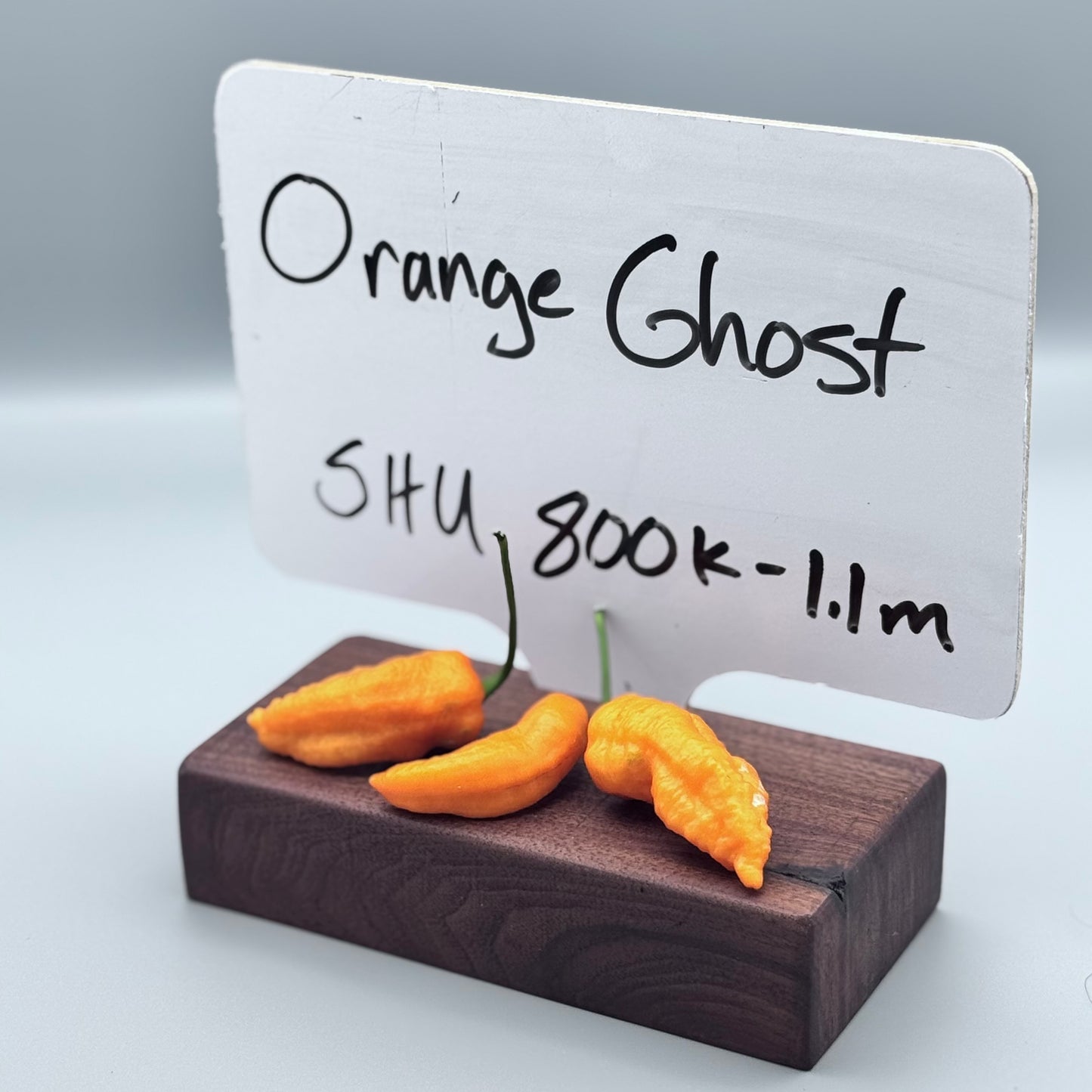 Orange Ghost
