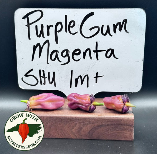 PurpleGum Magenta