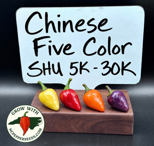 Chinese 5 Color #49
