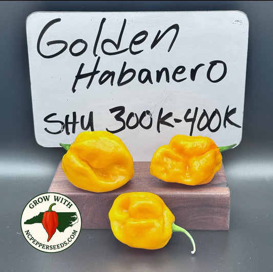 Golden Habanero