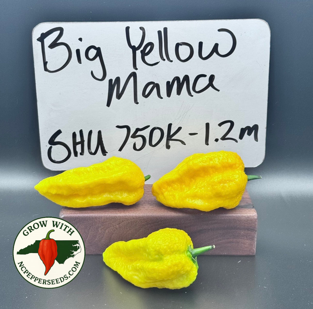 Big Yellow Mama