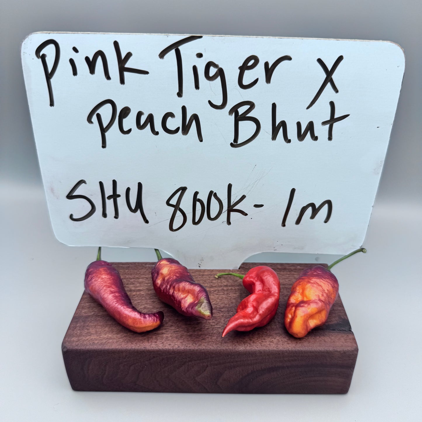Pink Tiger x Peach Bhut