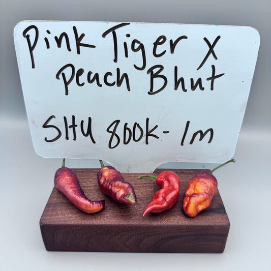 Pink Tiger x Peach Bhut