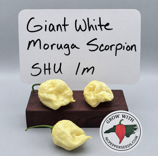 Giant White Moruga Scorpion